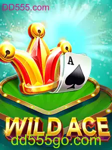 Descubra o Universo Empolgante de WildAce no DD555.com